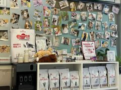 -爱妮康宠物医院·干细胞免疫细胞·肿瘤·心脏(张江店)