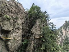 -老君山风景名胜区