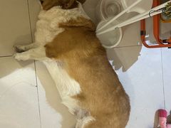 -平行世界·猫咖(首经贸店)