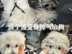 -萌宠主义宠物生活馆(金山路店)