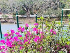 -滴水岩森林公园
