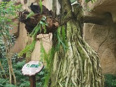 -南山植物园