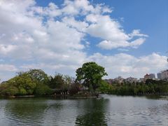 -翠湖公园