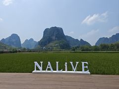 -明仕田园