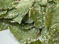 -干老四雅鱼饭店(滨江西路店)