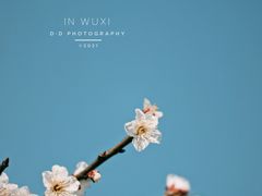 -无锡梅园公园