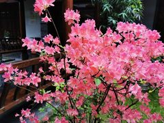 -不倒翁·徽天下名菜楼(马鞍山路店)