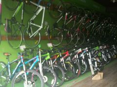 -美利达自行车(天通西苑一区店)