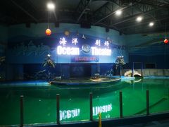 -苏州海洋馆