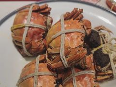 -杨氏青龙虾·羊蝎子(金盛路总店)