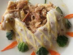 -丁老爷子苏香圆