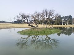 -夏河溪乡野公园