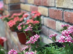 -旅宁鸡汤馆(张之洞路店)