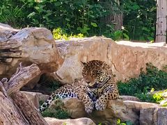 -北京野生动物园