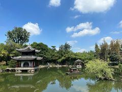 -水绘园