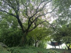 -北寺塔