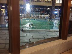 -咸宁万豪温泉谷度假区