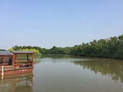 -大湾区中央湿地公园