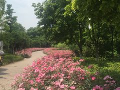 -日出青木·杭帮菜名店