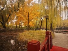 -玲珑塔公园