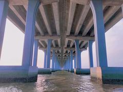 -宝安西湾红树林湿地公园