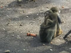 -秦皇岛野生动物园