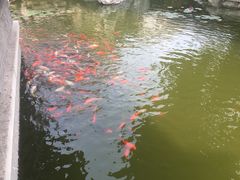 -口岸雕花楼