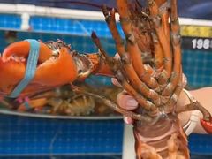 -喜来酌海鲜·饺子(和平一店)