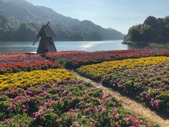 -广州市石门国家森林公园