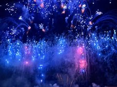 -南宁花花大世界景区