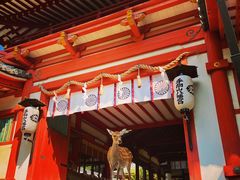 -奈良公园