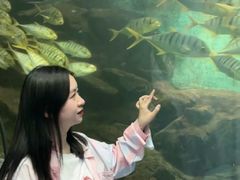 -洛阳龙门海洋馆