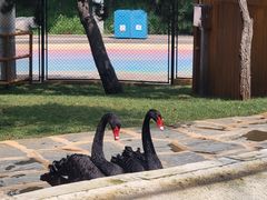 -南戴河国际娱乐中心