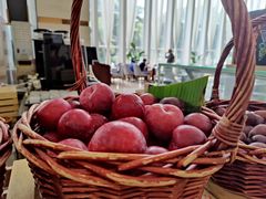 -深圳东方银座酒店·棕榈园西餐厅