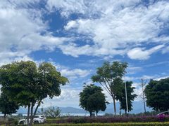 -璞真扎染博物馆