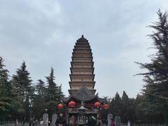 -洛阳白马寺