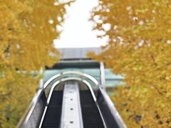 -星巴克(杭州大厦C座店)