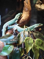 -Zoolung Zoolung动物主题公园(海信广场店)