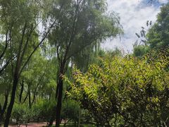 -南长河公园
