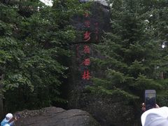 -汤旺河林海奇石景区