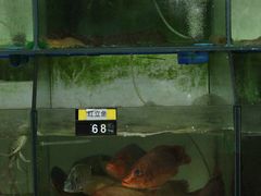 -八方海味餐厅