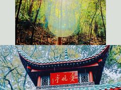 -岳麓山风景名胜区