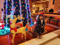 -长白山万达喜来登度假酒店