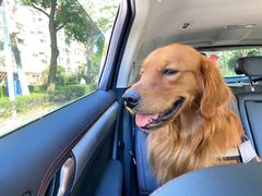 -爱侣宠医·鹦鹉专科·小型哺乳类·异宠专科(灵石路店)