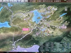 -深圳仙湖植物园
