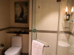 -雅安楠水阁温泉酒店