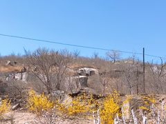 -白水寺森林公园