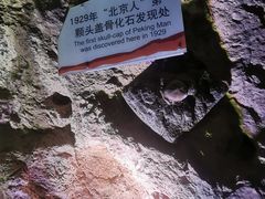 -周口店北京人遗址公园