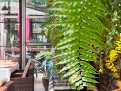 -野蔓果·山野菜(西湖景区·龙井茶田店)