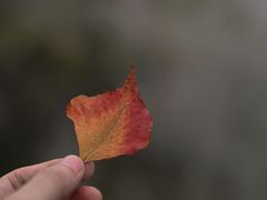 -M Stand(深圳龙岗万科广场店)